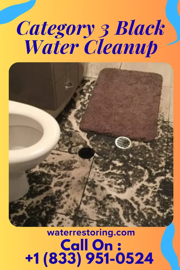Category 3 Black Water Cleanup in North Brentwood, MD