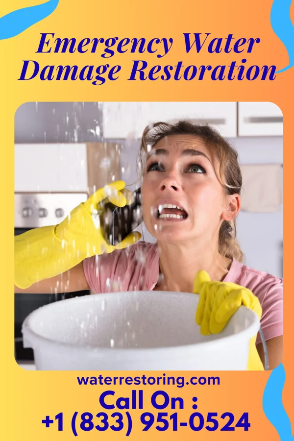 Emergency Water Damage Restoration in North Brentwood, MD