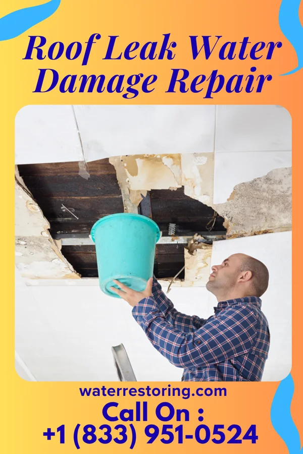 Roof Leak Water Damage Repair in North Brentwood, MD